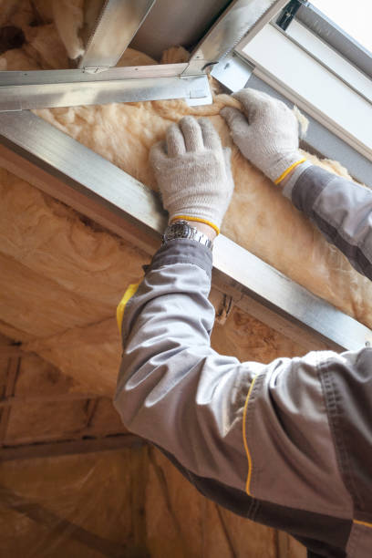 Best Specialized Insulation Services in Whitley City, KY